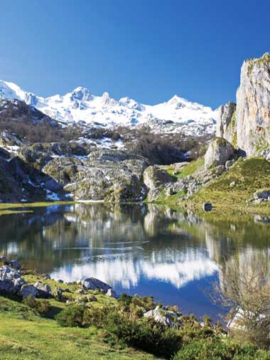 Picos de Europa